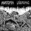 /ANATOMIA / UNDERGANG / split 
