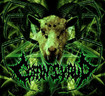 /COFFIN SYRUP / Caprarachnid (中古)