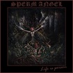 THRASH METAL/SPERM ANGEL / Life Is Poison (digi) Great Street MetalPunkThrash！