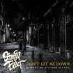 JAPANESE BAND/STRANGE FLAVOR (pre-BLAZE) / Don't Let Me Down - History of Strange Flavor