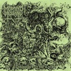 /MORBID MESSIAH / Disgorged in the Coffin