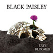 /BLACK PAISLEY / Late Bloomer +4 (Sweden NWOCR、1st)