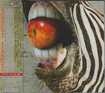 HEAVY METAL/A - Z / A - Z (国内盤) WARLORD+FATES WARNING組