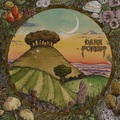 DARK FOREST / Ridge & Furrow  (NEW!) []