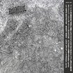 /HUMAN CORPSE ABUSE / Xenoviscerum (21日発売）
