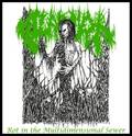 SOLARCRYPT / Rot in the Multidimensional Sewer []