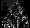 /SACRIFICIA MORTUORUM / En Offrande (digi)