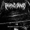 /BELARUS BEAVER / Symphony of Fallen Trees