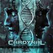 HEAVY METAL/CARDYNAL / Intro