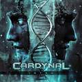 CARDYNAL / Intro []