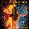FELINE MELINDA / Dance Of Fire And Rain (XsɂȂA3rdI) []