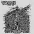 VACUOUS / Dreams of Dysphoria []