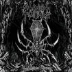 /STREET TOMBS / Reclusive Decay (特典：ロゴステッカー）