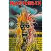 BOOK etc/IRON MAIDEN / IRON MAIDEN (FLAG)