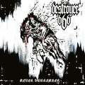 DESTROYER 666 / Never Surrender (digi) []