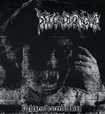 JAPANESE BAND/SECOND TO NONE / LightsembraceEvilskiss (7”FLEXI/BLUE)