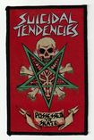 /SUICIDAL TENDENCIES / Possessed to Skate (SP)