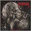 HEAVY METAL/PERVERSION / Dies Irae 