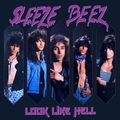 SLEEZE BEEZ / Look Like Hell (2023 reissue) AՂ1stI []
