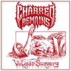 /CHARRED REMAINS / Vulgar Surgery
