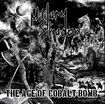 JAPANESE BAND/MILITARY SHADOW / The Age of Cbalt Bomb