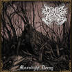 /CHAMBER OF MIRRORS / Moonlight Decay (digi)