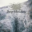 /SIGNS OF THE SWARM / Amongst the Low & Empty