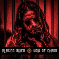 BLAZING SKIES / Void of Chaos@i2001j (2022 reissue) kfXBꂽĔI []