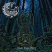 /THE MOANING / Blood from Stone + demo (2022 reissue)