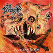 /TO DESCEND / Mindless Birth 
