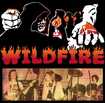 HEAVY METAL/WILDFIRE / Wildfire  (Muthas PrideのWILDFIRE音源集）