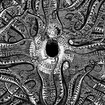 予約商品/NORNAHETTA / The Psilocybin Tapes (digi)
