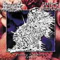 ROTTENNESS / SEEPING PROTOPLASM / Split []