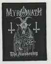 JAPANESE BAND/MYRONATH / The Awakening (SP)
