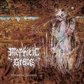 MEPHITIC GRAVE / Dreadful Seizures []