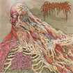 /HEMORRHOID / Raw Materials of Decay