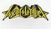 SMALL PATCH/Thrash/TOXIC HOLOCAUST / Logo SHAPED (SP)