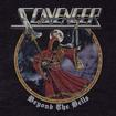 HEAVY METAL/SCAVENGER / Beyond the Ball (NEW !!)