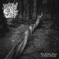 HOLLOW WOODS / Like Twisted Bones of Fallen Giants []