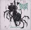 /NUCLEAR STENCH / Inherit Decay