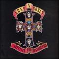 GUN N' ROSES / Appetite for Destruction  []