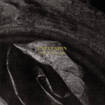 /EXPULSION / A Bitter Twist of Fate (1993/2024 reissue)