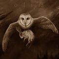 OLIM / Because (digi) OCgAtomoBlackI []