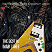 JAPANESE BAND/IMARI TONES (伊万里音色） / That Christian Metal Band from Japan - The Best of Imari Tones