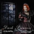 DARK PRINCESS / Without You (slip) []