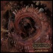 /HYPERDONTIA / Nexus of Teeth