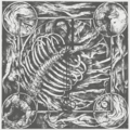 JUPITERIAN / Aphotic@i2024 reissue) iѕtj []