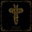 /DEVIL'S FLESH / Evil Gods