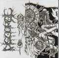 DISGORGE (Mexico) / Through the Innards (2021 reissue) []