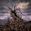 /VULVODYNIA / Entabeni (NEW ! )
